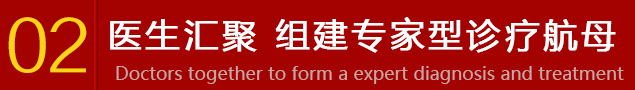 名医汇聚 组建专家型诊疗团队